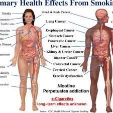 Although smoking is an addiction, people can quit smoking.; Primary Health Effects From Smoking Figure 1 Used With Permission From Download Scientific Diagram
