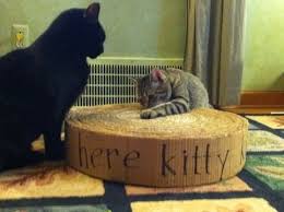 Diy Cardboard Scratching Pad Cat Diy Diy Stuffed Animals Cat Scratcher