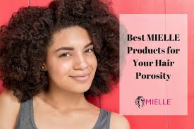 With the newfound diversity throughout the beauty industry, it's no surprise why natural hair is having a shining moment right now. Hair Care Tips The Best Products For Your Hair Porosity Mielle