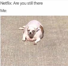 Netflix are you still watching meme gif. Does It Look Like I M Still Here Netflix Know Your Meme