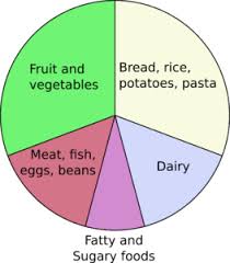 balanced diet introduction importance components videos