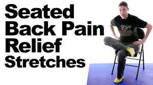 Exercises and stretches & remedies. Seated Back Pain Relief Stretches Youtube