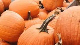 Fall Family Fun Day