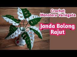 Tutorial Membuat Janda Bolong Rajut Crochet Monstera Variegata Easy Crochet Youtube Daun Rajut Bunga Rajut Tanaman