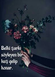 Guzel Sozler Umud Sozler 2020 Guzel Soz Kus Sarkilar