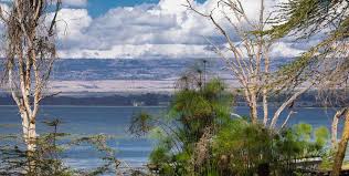 Read reviews on zoover about 11 accommodations naivasha kenya kenya. Reisebericht Lake Naivasha Kenia 2018