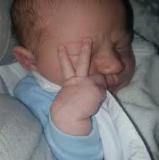 Profile for Bev Flanagan