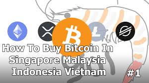 At the end of 2017, coinbase announced that it reached a user base of 13 million. How To Buy Bitcoin In Singapore Malaysia Indonesia And Vietnam 1 Youtube