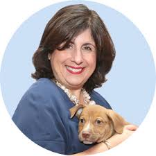 Meet our Senior Management Team