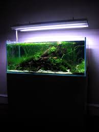 Aquarium Decoration Ideas Freshwater Unique Mervent Par Poups Aquascaping Fishtank Aquarium Fish Tank Aquarium Design Planted Aquarium