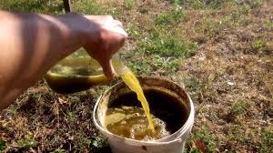 Rumput hias kebanyakan di manfaatkan sebagai hiasan taman, sedangkan untuk hiasan ruangan namun rumput grinting sangatlah bermanfaat untuk melindungi erosi pada tanah miring, karena. Cara Memperbaiki Urea Merica Kami Mencari Tahu Cara Memberi Makan Bibit Paprika Serta Kapan Dan Seberapa Sering Melakukannya Pupuk Apa Yang Akan Digunakan Ragi Untuk Menyalakan Tanaman