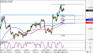 Coffee prices on wednesday settled moderately higher as they. C5yj1gvjazadnm