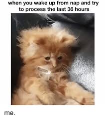 When You Wake Up From Nap And Try To Process The Last 36 Hours Me Meme On Me Me