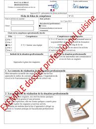 Dossier Professionnel Pdf Free Download