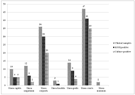 Jof Free Full Text Molecular Identification And Antifungal Susceptibility Patterns Of Clinical Dermatophytes Following Clsi And Eucast Guidelines Html