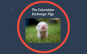 This happened after columbus landed in america in 1492. The Columbian Exchange Pigs By Andrew Schwartz