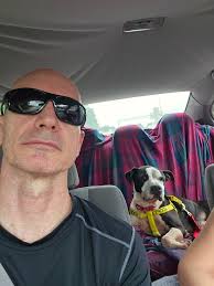 Adoptable Pets of LifeLine