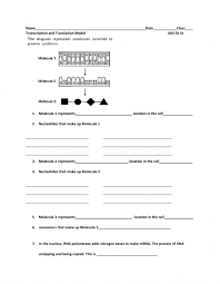 Translation, transcription, gene expression, protein synthesis. Protein Synthesis Worksheet