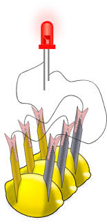 Because a potato can produce few milliamperes of current . Lemon Battery Wikipedia