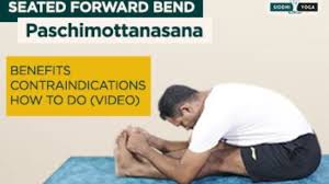 Paschimottanasana Seated Forward Bend Benefits How To Do Contraindications