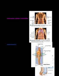 Basics reliable of Applied Anatomy