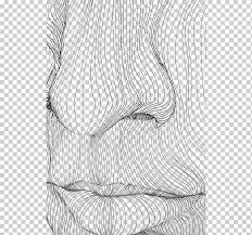 Contour Drawing Line Art Contour Line Nose And Mouth Lines Angle White Pencil Png Klipartz Pin the clipart you like. contour drawing line art contour line