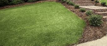 Find out how much your project will cost homeowners can expect to pay between $500 and $4,000, or an average of $1,000, for hydroseeding a typical 5,000 to 10,000 square foot lawn. What Does It Cost To Hydroseed