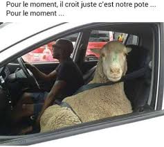 La fête du mouton puisque c'est d'elle qu'il s'agit, enseigne à l'humanité, à travers l'histoire d'ibrahim, les principes fondamentaux d'un bien vivre ensemble. Facebook
