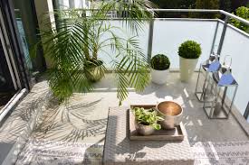 Areca Palme Und Buchsbaum Als Kubelpflanzen Fur Nordischen Balkon Pflegeleichte Pflanzen Pflanzideen Balkon Pflanzen