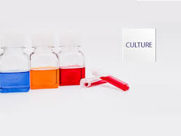 We did not find results for: Buy Cell Culture Media And Supplements Animal Cell Culture Media Biohippo Com
