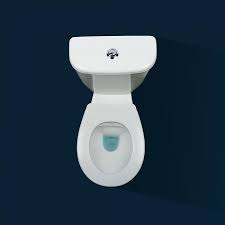 Lunette Wc Clipsable 100 Hygienique Blanc Papado Sur Bricozor Lunette Wc Lunettes Blanc Il y avait du jeu depuis un bon moment dans j'ai ensuite choisi une couleur sobre parmi tout l'évantail proposé (rouge, rose, bleu, orange, violet, blanc.). pinterest