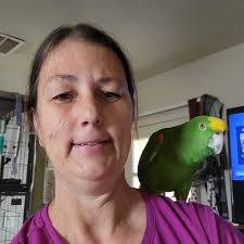 Has anyone had issues with the quality of the Robin? There was fur hanging  out all over him 😩