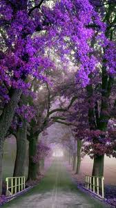 See more ideas about pelancongan, haiwan, colorado. Pin On Alam Semulajadi