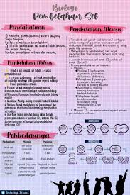 Perkecambahan dengan kotiledon tetap berada di dalam tanah dinamakan … a. Army Belajar On Twitter Pembelahan Sel Biologi Sma Kelas 12 Rangkuman Soal Cr Pict