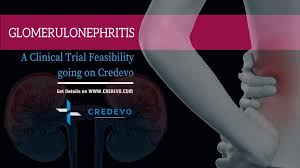 Patients with arterial hypertension and no definable cause are said to have primary, essential hypertension. Glomerulonephritis Clinical Trial Feasibility Credevo Articles