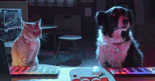 Dogs come when they're called; Cats Dogs 3 Coming In September Watch The Trailer Ew Com