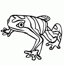 Our rainforest coloring pages are a big hit around here, so we figured we should create a new set of coloring pages to educate children on the 9 most endangered rainforest animals. Tropical Rainforests Coloring Pages Coloring Home