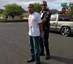 Pets can be fluffy little critters, friendly and silly, or even wicked and scary. Two Bay Area Men Arrested For Craigslist Rental Scam East Bay Times