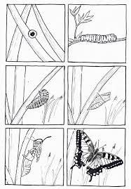 Free download coloring page show. Life Cycle Butterfly Coloring Pages For Kids Crafts And Worksheets For Preschool Toddler And Kindergarten