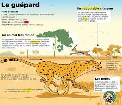 Pin By Joelle G On Animaux Reading Practice French Language Language