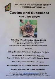 Cactus & succulent society of australia. The Cactus And Succulent Society Of Western Australia Csswa Home Facebook
