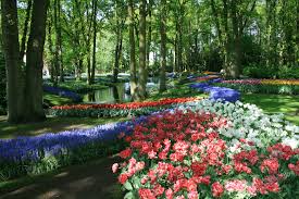 Private flower tour including flora holland and keukenhof gardens. Keukenhof Wikipedia