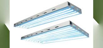 For propagation, always use daylight rated (6.5k) lamps. Sunb T5 Ho Fluorescent Grow Light Fixture Gothic Arch Greenhouses