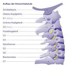 Bandscheibenvorfall Der Halswirbelsaule Hws Symptome Diagnose Und Behandlung Gelenk Klinik De