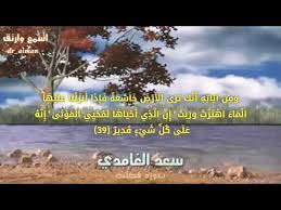 حالات واتسآب قرآنية سبحان الله آية 39 من سورة فصلت رائعة بصوت سعد الغامدي Youtube
