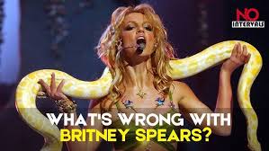 Image result for britney spears python