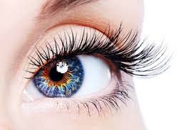Maybe you would like to learn more about one of these? Dynamic Eye Care Home Facebook