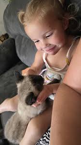 Lost cat in Ohio, have you seen him?