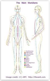 Acupuncture Meridian Chart From Amt Showing Main Meridians