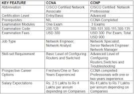 Fundamental Differences Every Budding Networking Aspirant